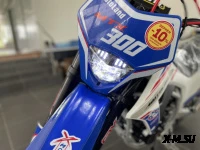 Мотоцикл MOTOLAND (МОТОЛЕНД) Кросс MTX300 (175FMM) АКЦИЯ