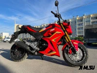 Мотоцикл PROMAX STRYKER 200(49)