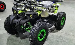 Квадроцикл ДЕТСКИЙ ЭЛЕКТРИЧЕСКИЙ RATCHET 1000ВТ