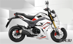 Мотоцикл PROMAX STRYKER 150(49) OFF-ROAD 2.0