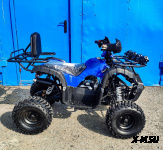 Квадроцикл Grizzly 110