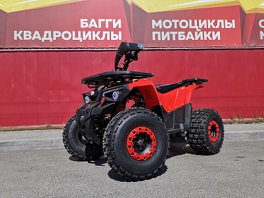 Квадроцикл PROMAX WILD 175 BASIC