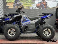 Квадроцикл GBM DAXTER 220 PREMIUM