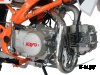 Питбайк KAYO BASIC TT125 17/14 KRZ (механ. сцепл., кикстартер, 2022 г.)