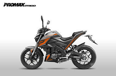 Мотоцикл PROMAX MT300